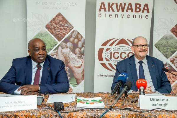 Baisse des cours du cacao : les pays producteurs en ordre de bataille