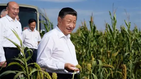 Chine : Xi Jinping appelle à accélérer la modernisation de l’agriculture et du monde rural